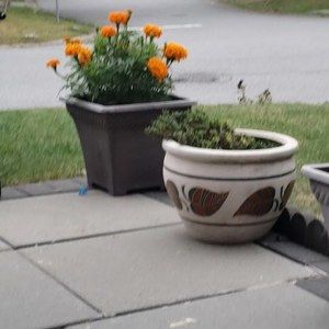 Meet your Posher, Ravinder